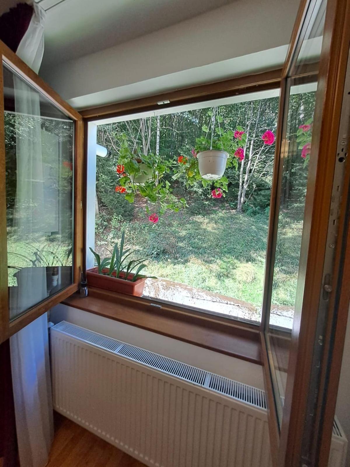 Appartement Garsoniera Flori - Sinaia Extérieur photo